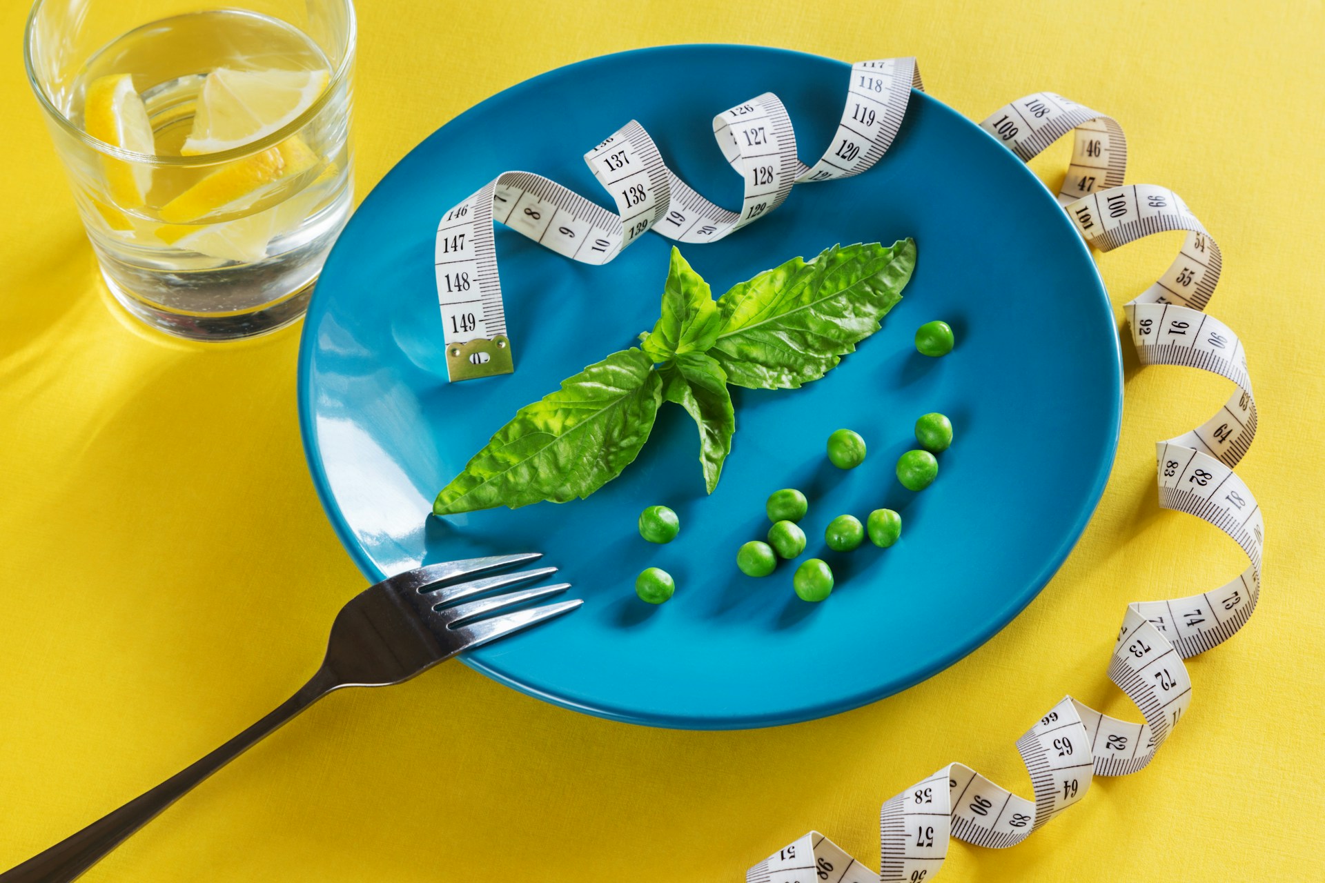 Plant-Based Protein Powerhouse Meal Plan